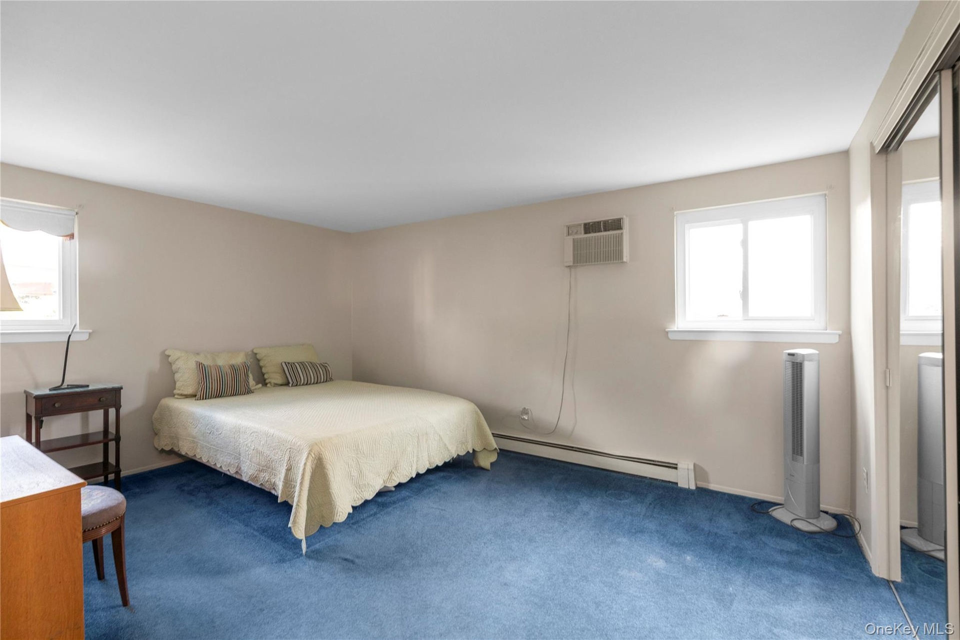 Lower Level Bedroom  - versatile use