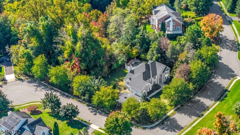 Drone View of Property
