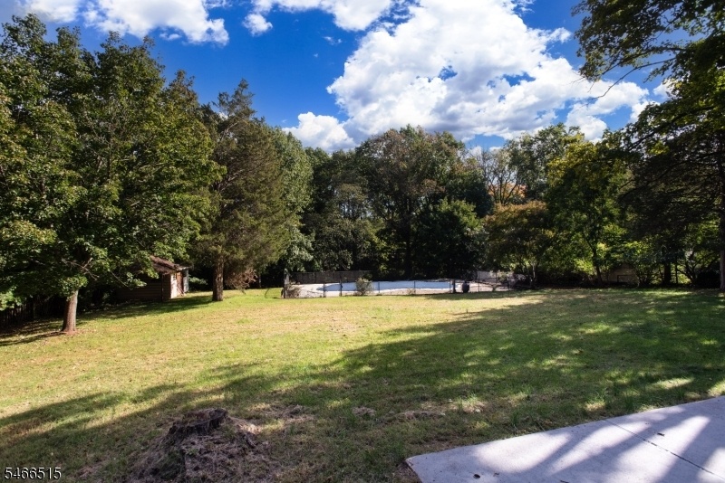 Park like Backyard