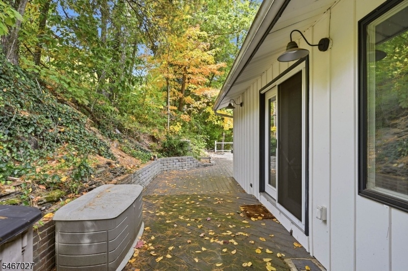Back Deck