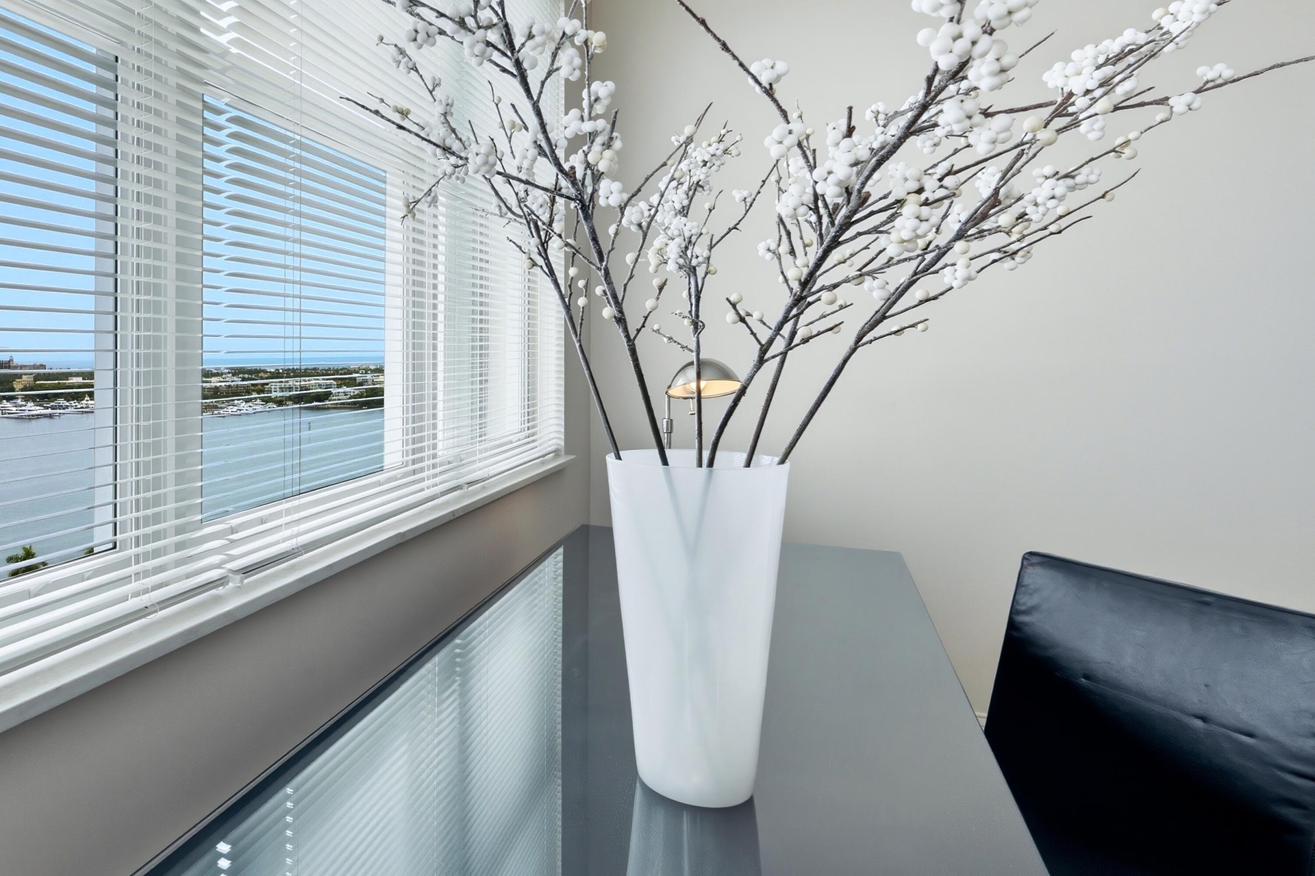 Views of Intracoastal