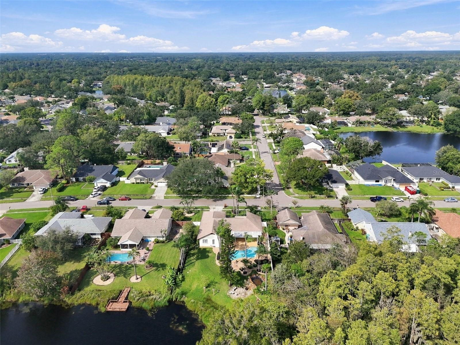 Arial Neighborhood