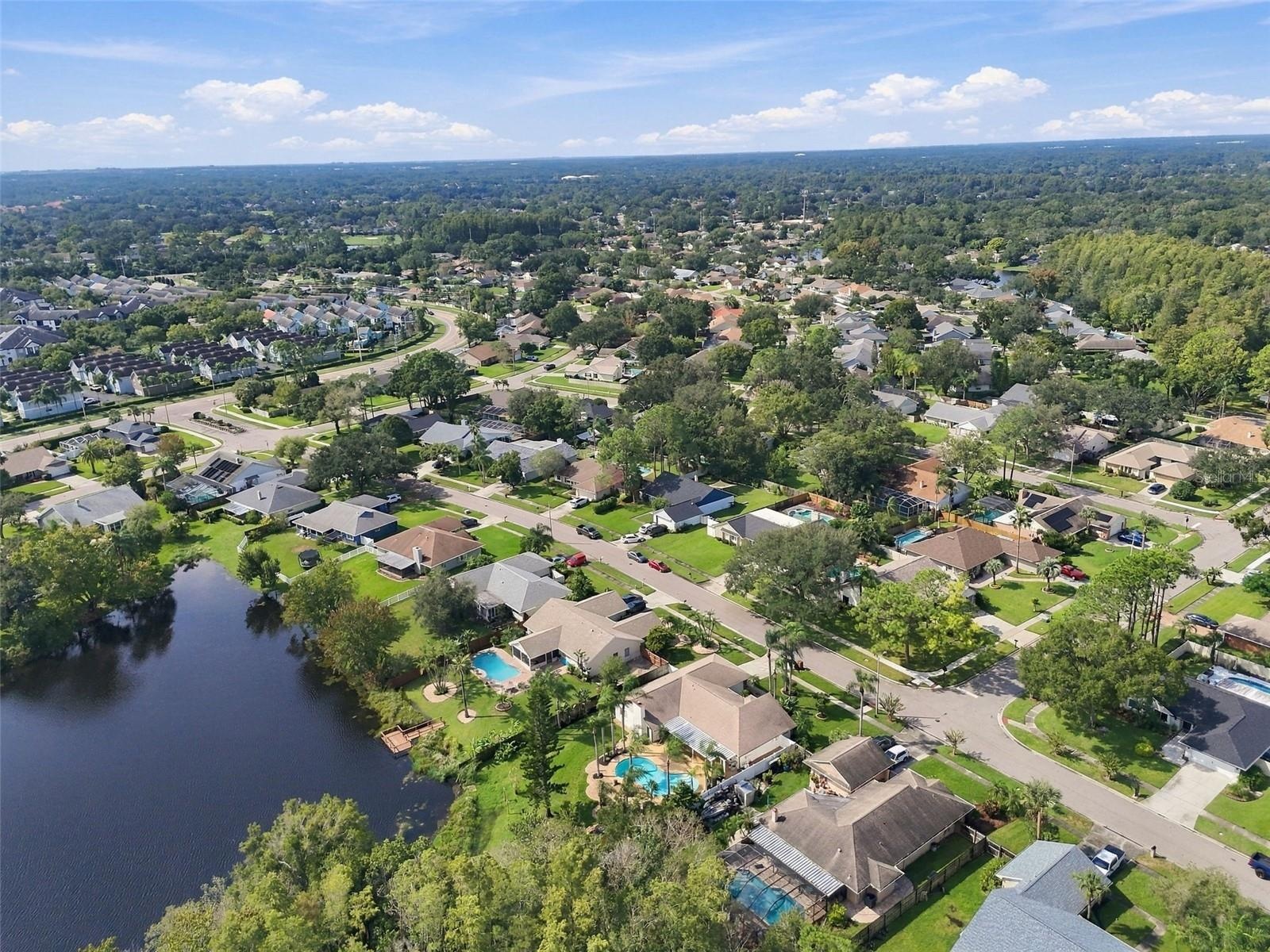 Arial Neighborhood