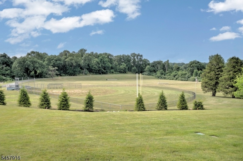 Mosle Park Preserve