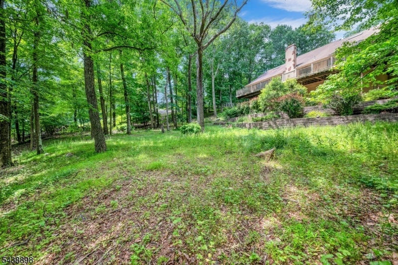 expansive rear yard