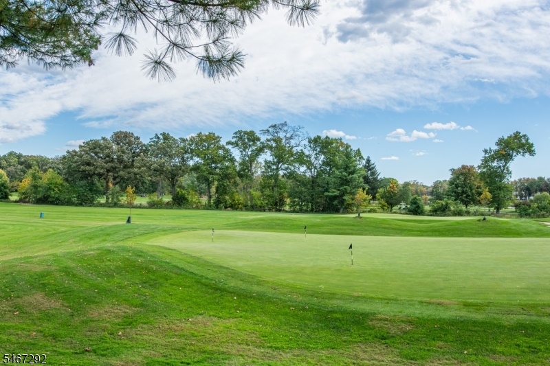 Golf Course View