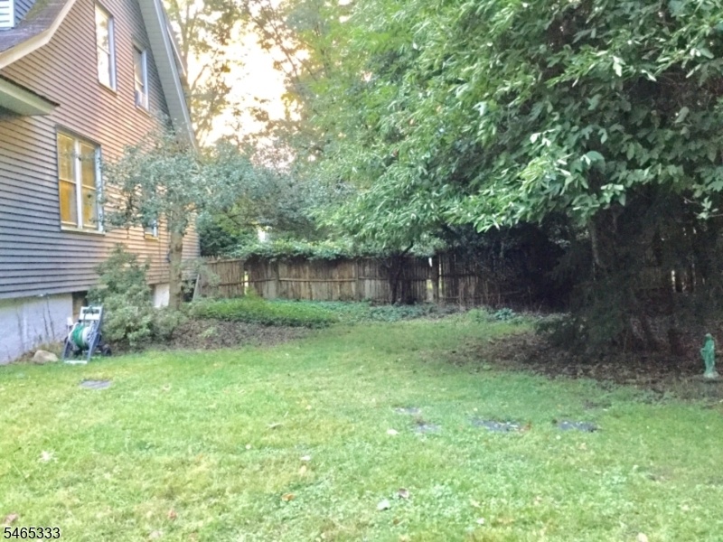 Side yard