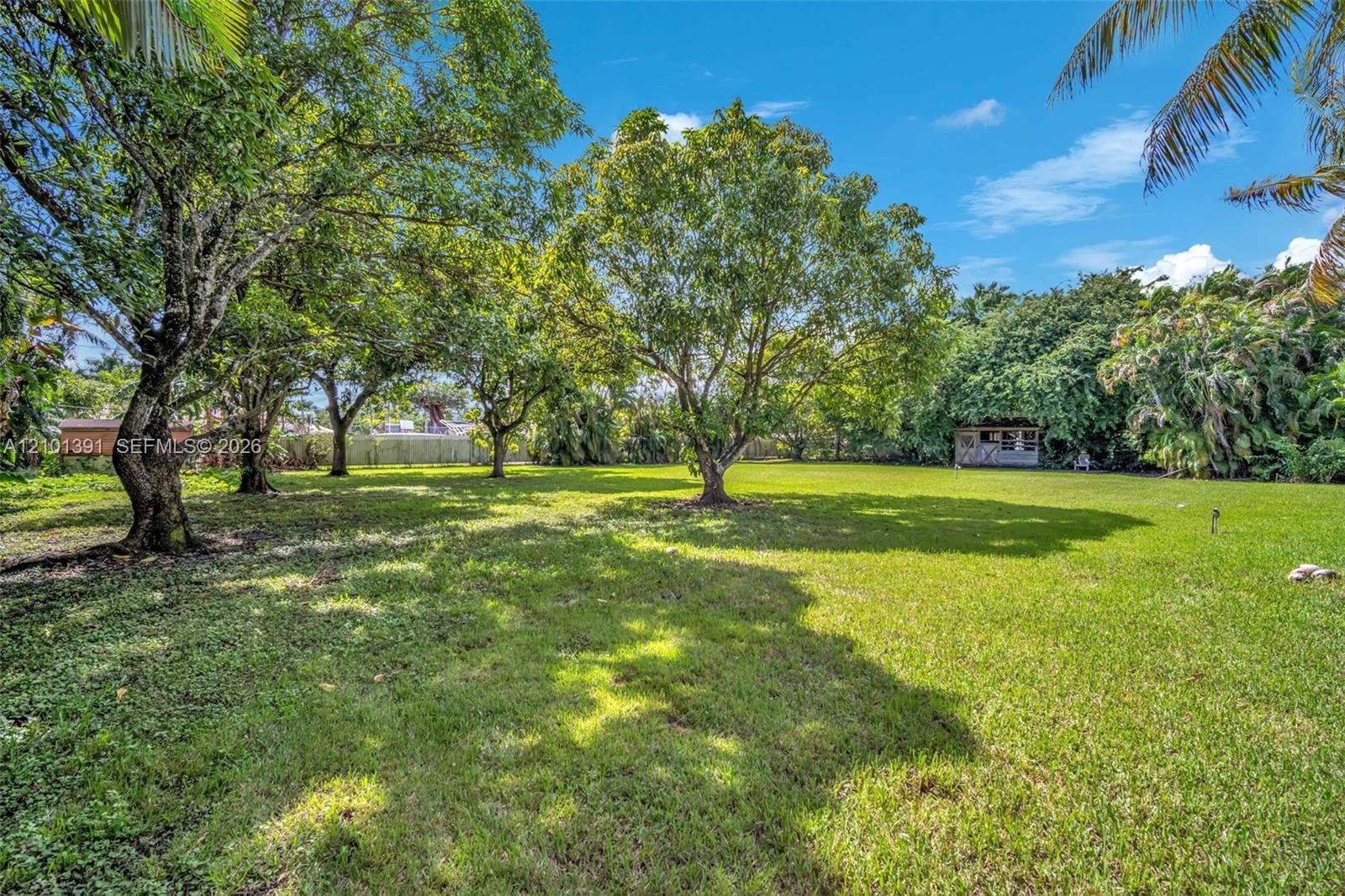 Expansive green space featuring mature trees, a manicured lawn, and a small utility structure