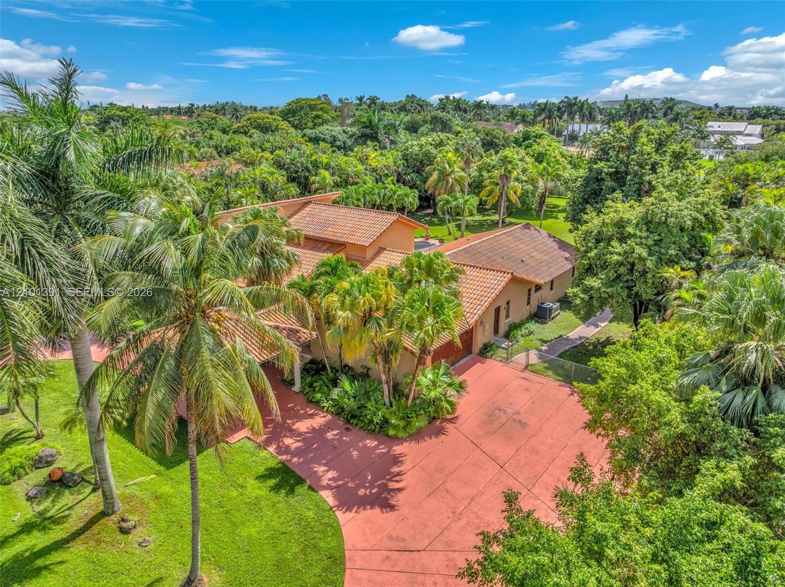 Extensive landscaping with mature palm trees, broad paved driveway, and terracotta roof tiles