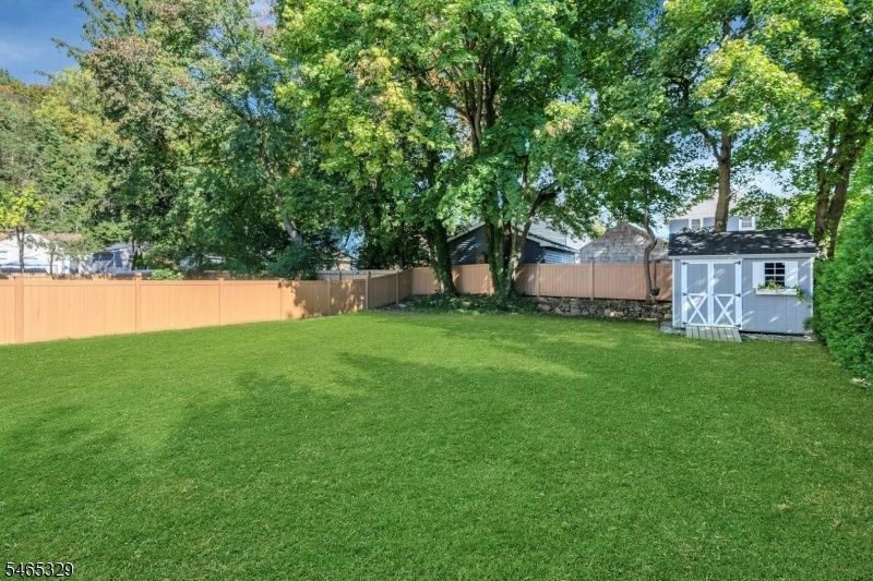 Fence backyard