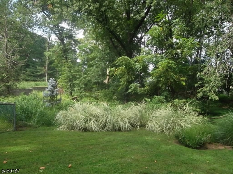 Rear Yard