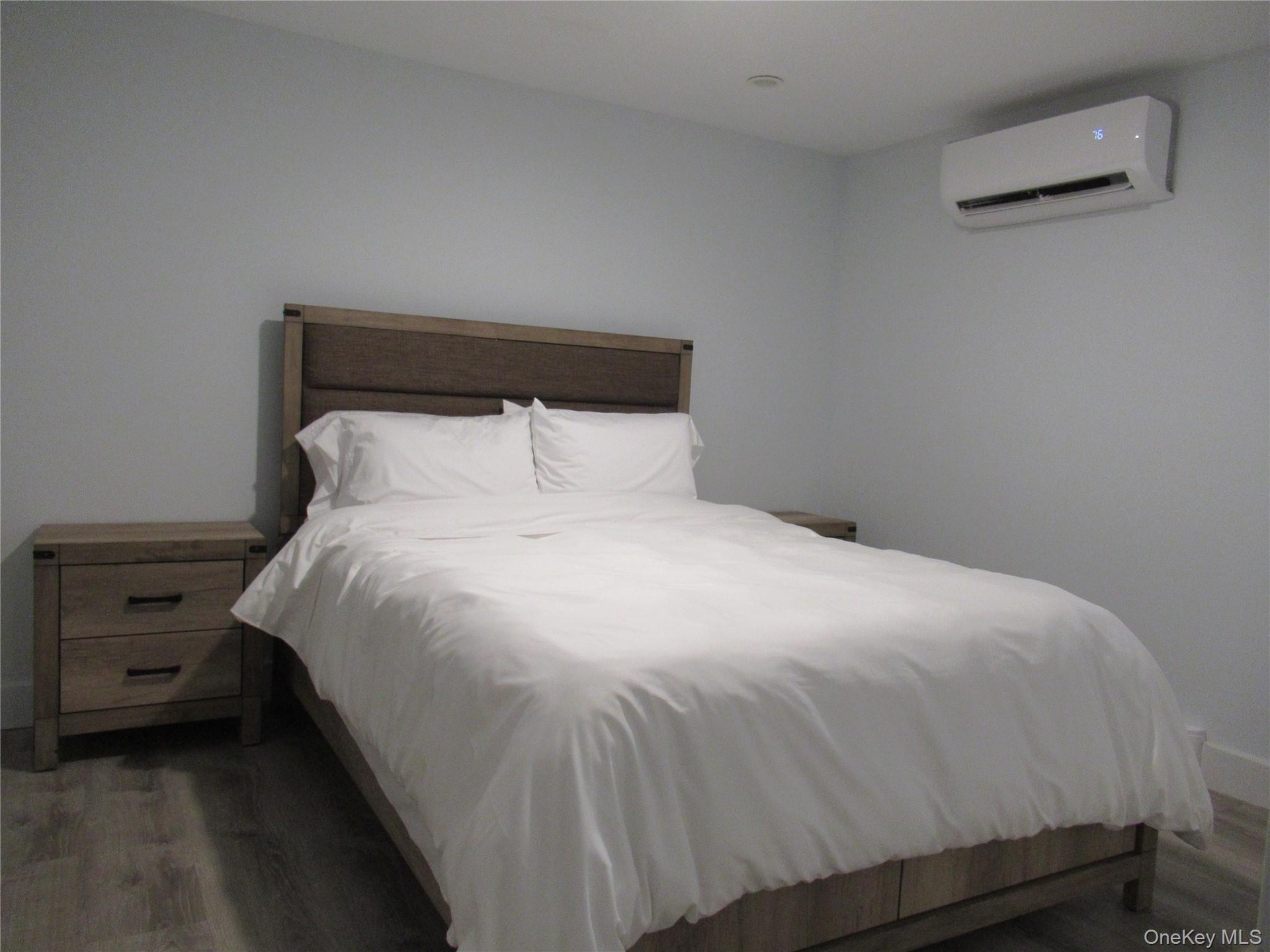 Lower Level with Mini split air conditioner