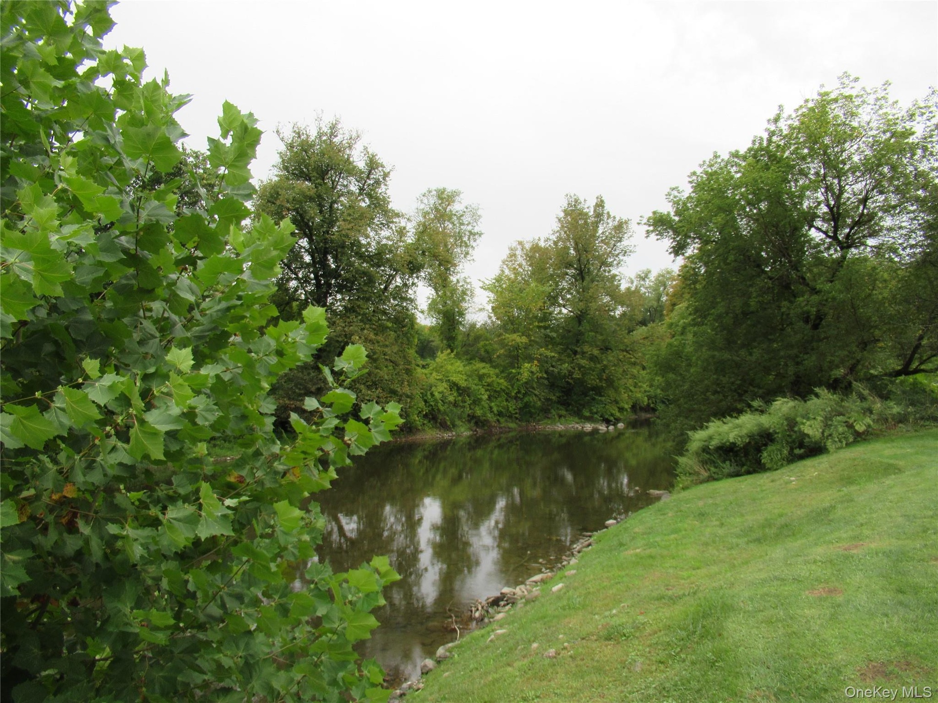 Fishing, kayaking, swimming