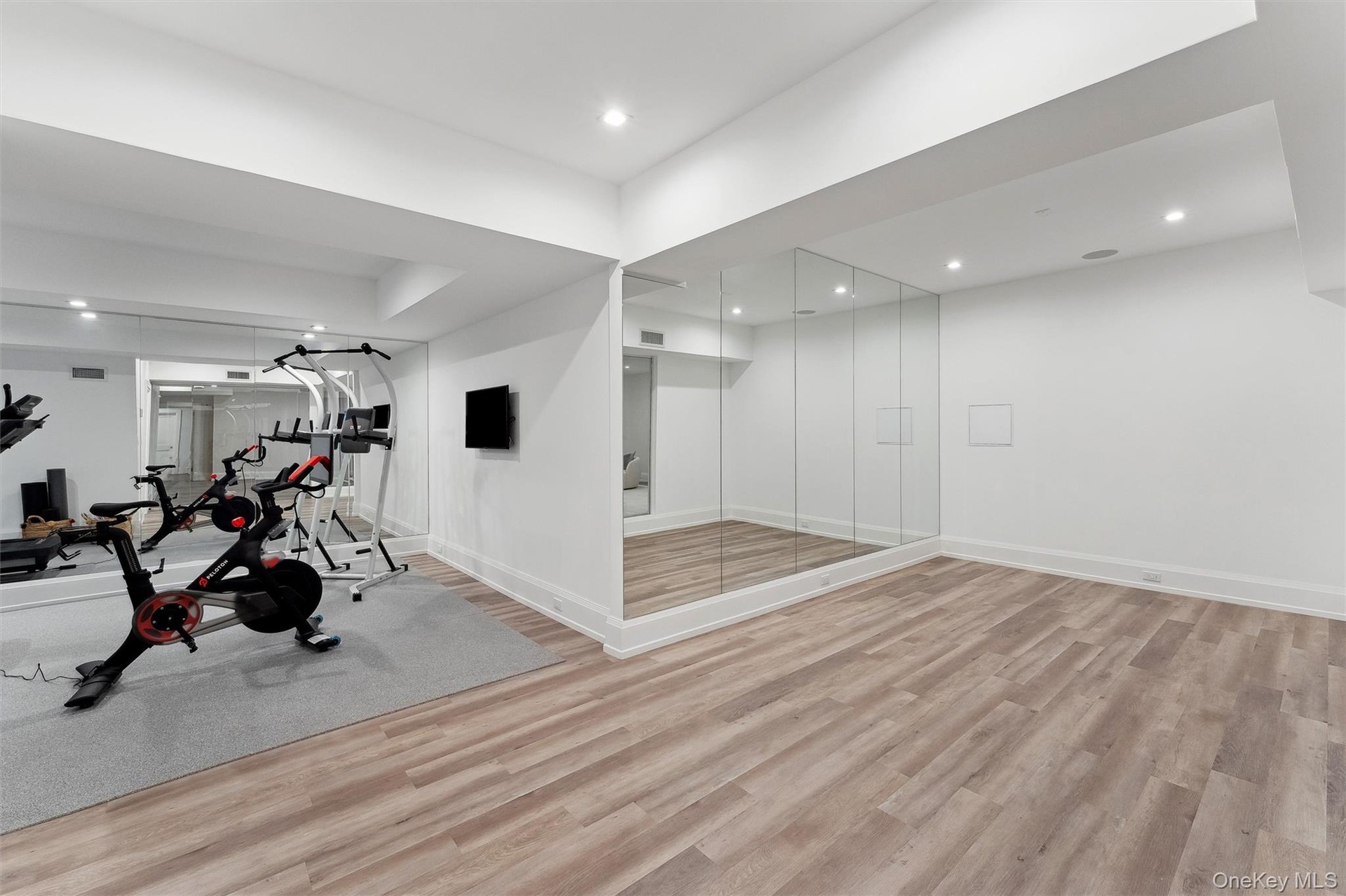 Lower Level Gym Space