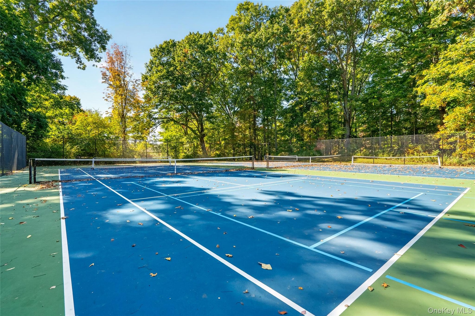 Tennis & Pickle Ball Courts