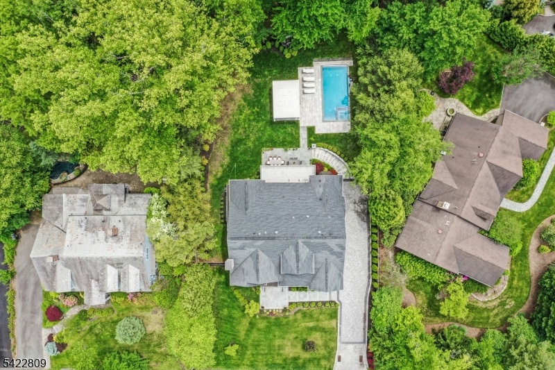 Aerial Shot