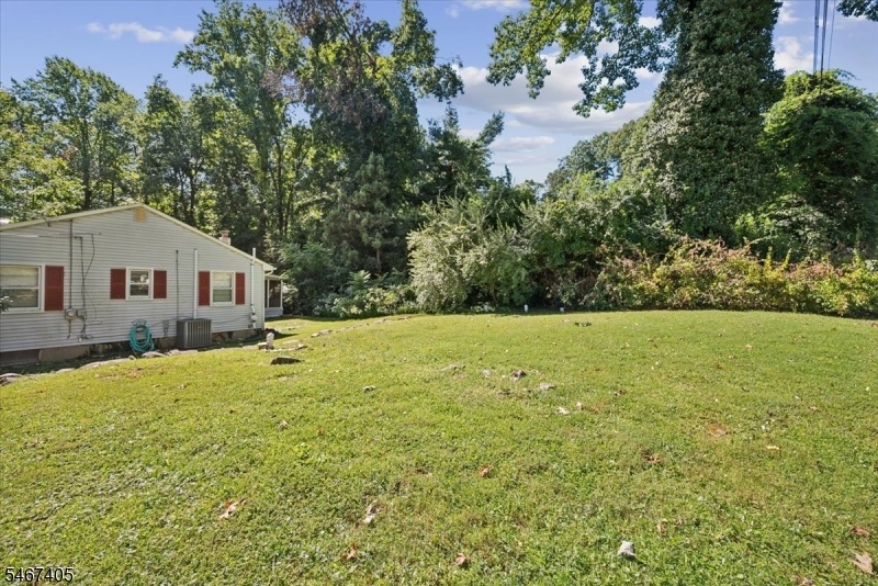 Side/back yard