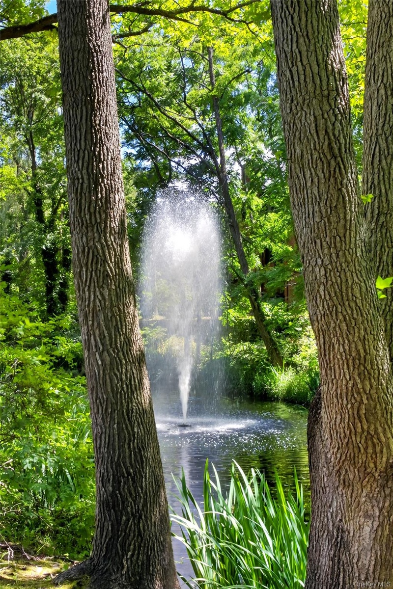 Serene Community