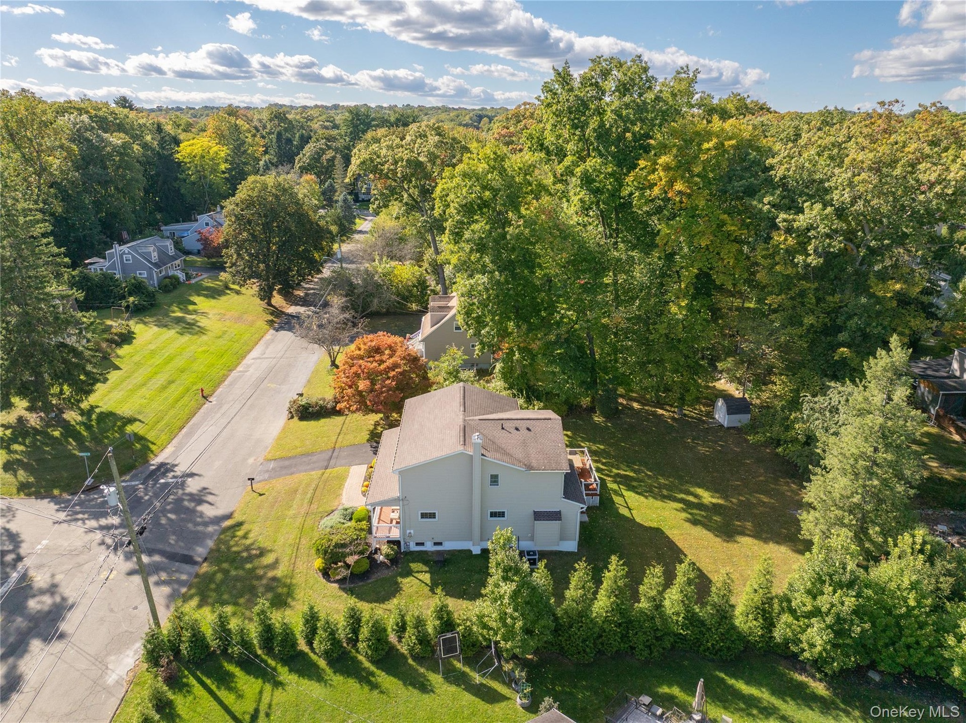 Private treed backyard