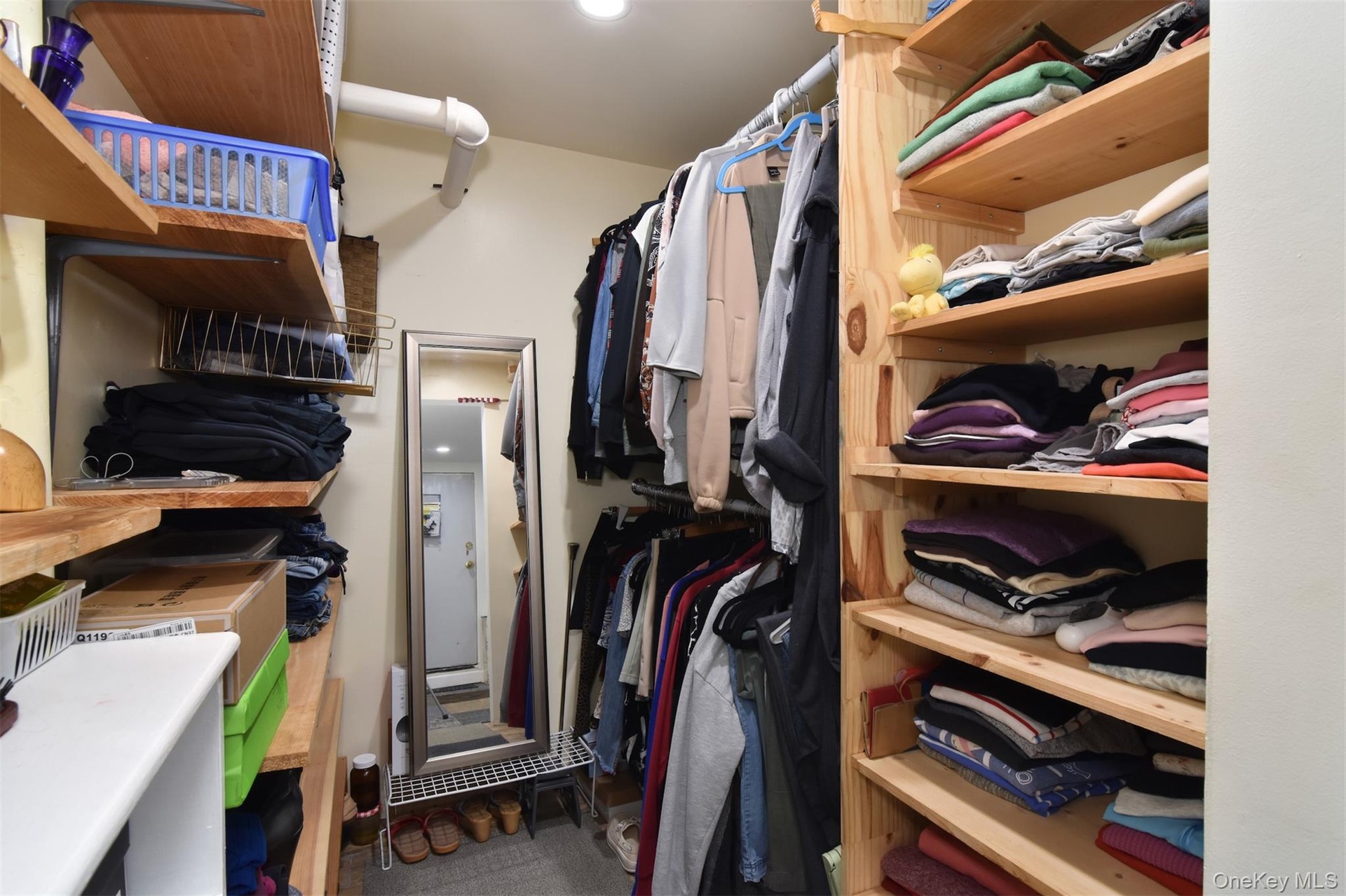Basement walk in closet