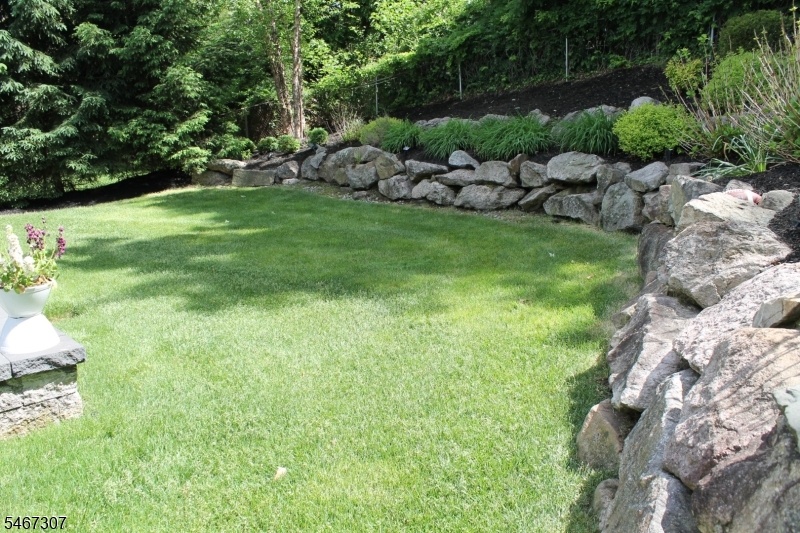 Grass