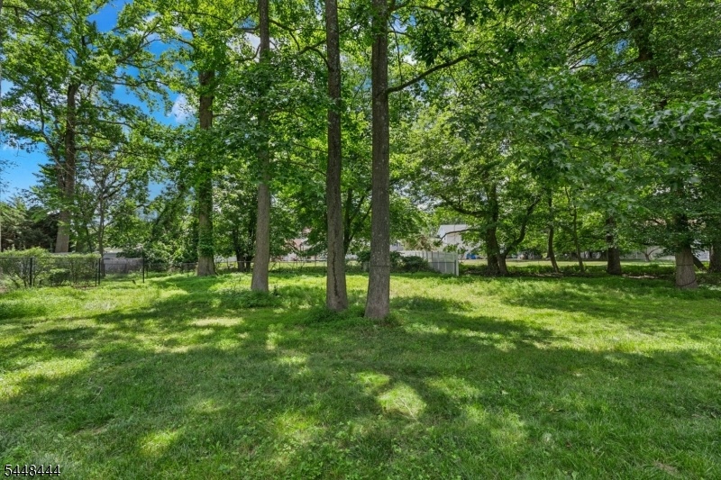beautiful back yard