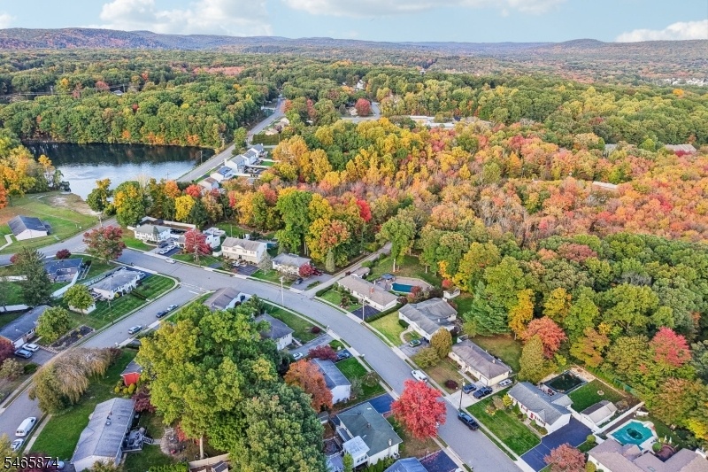 AERIAL VIEW OF THE STREET