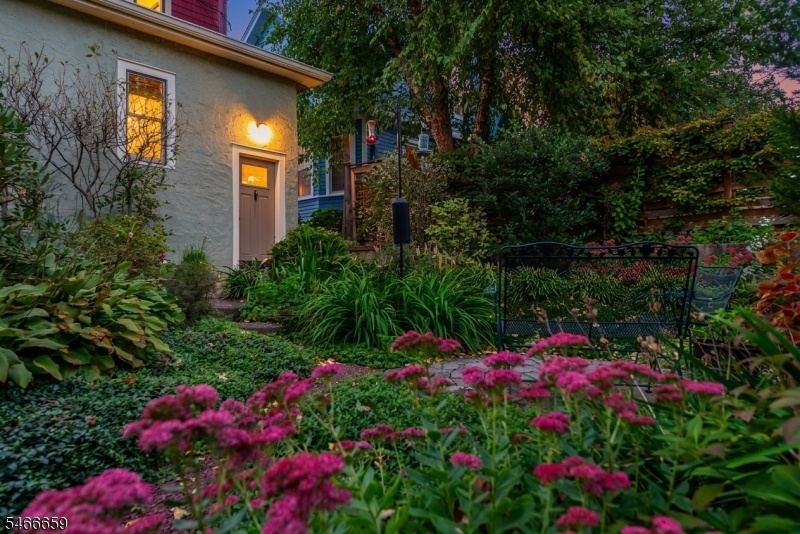 Backyard at twilight