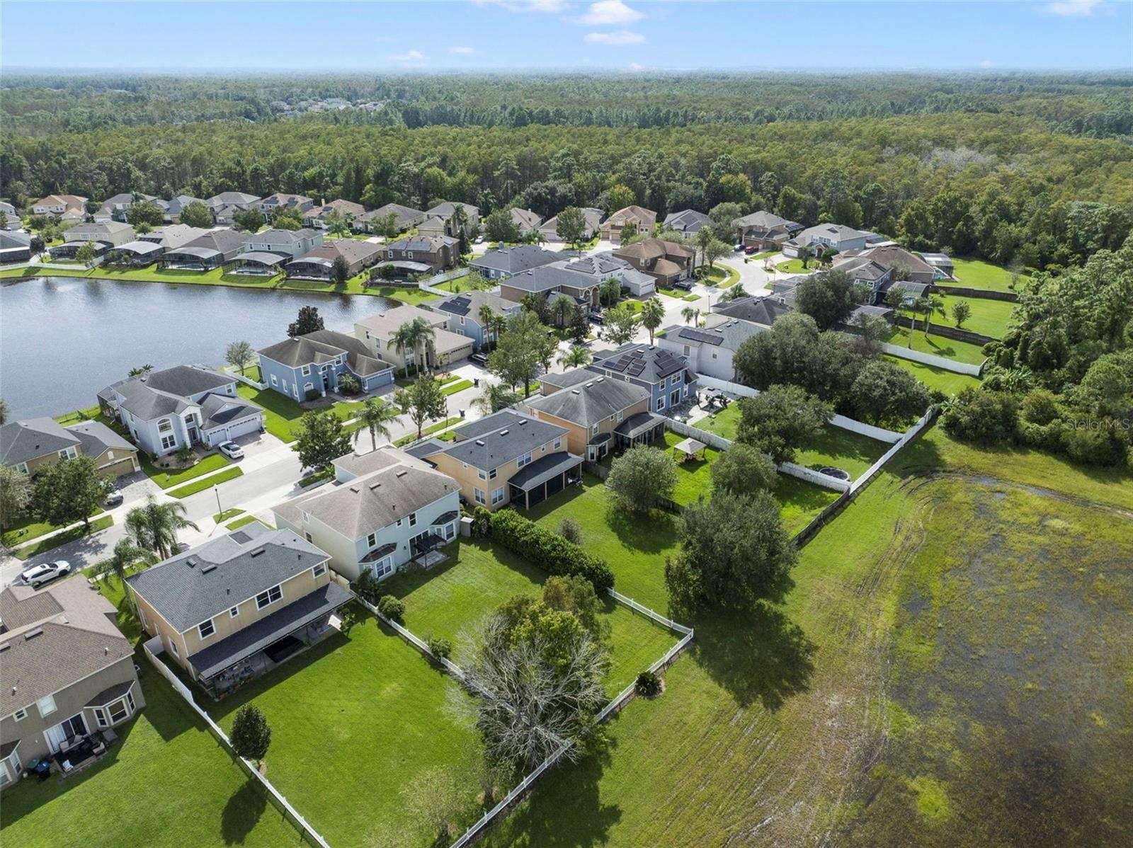 Aerial view of the back of the home and community.