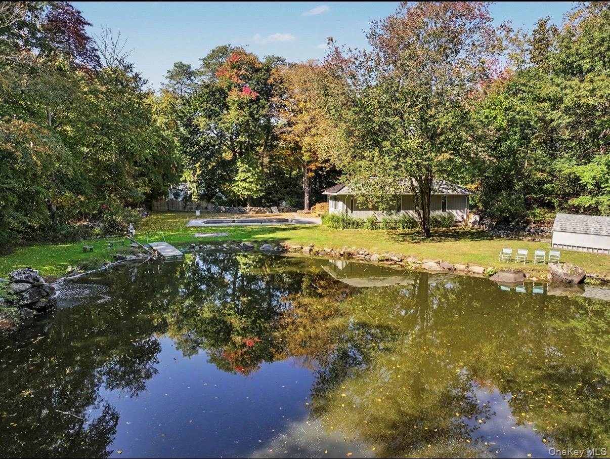 Pond
