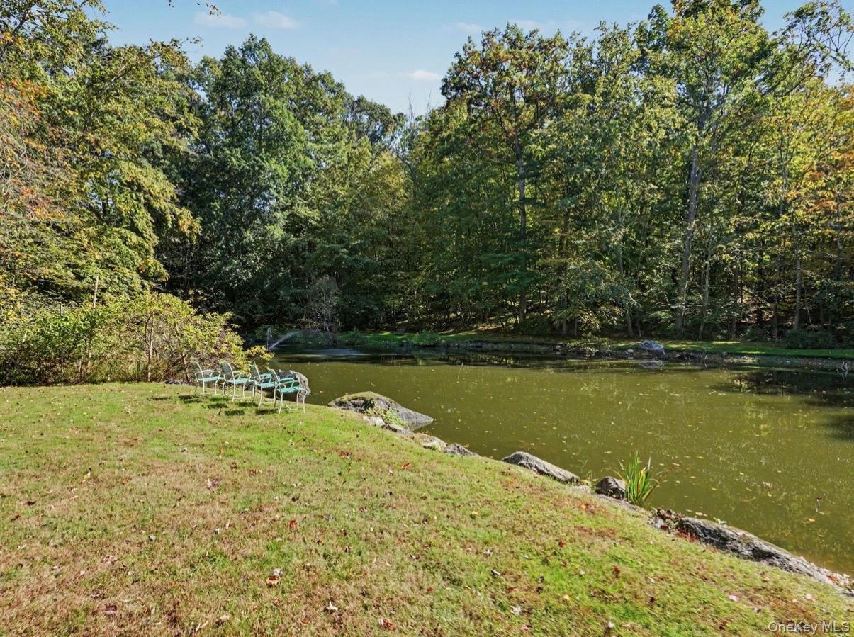 Pond