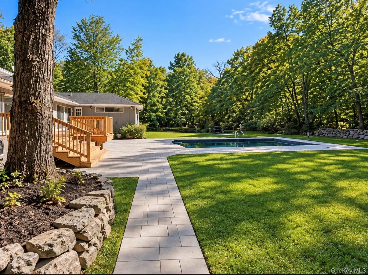 back yard