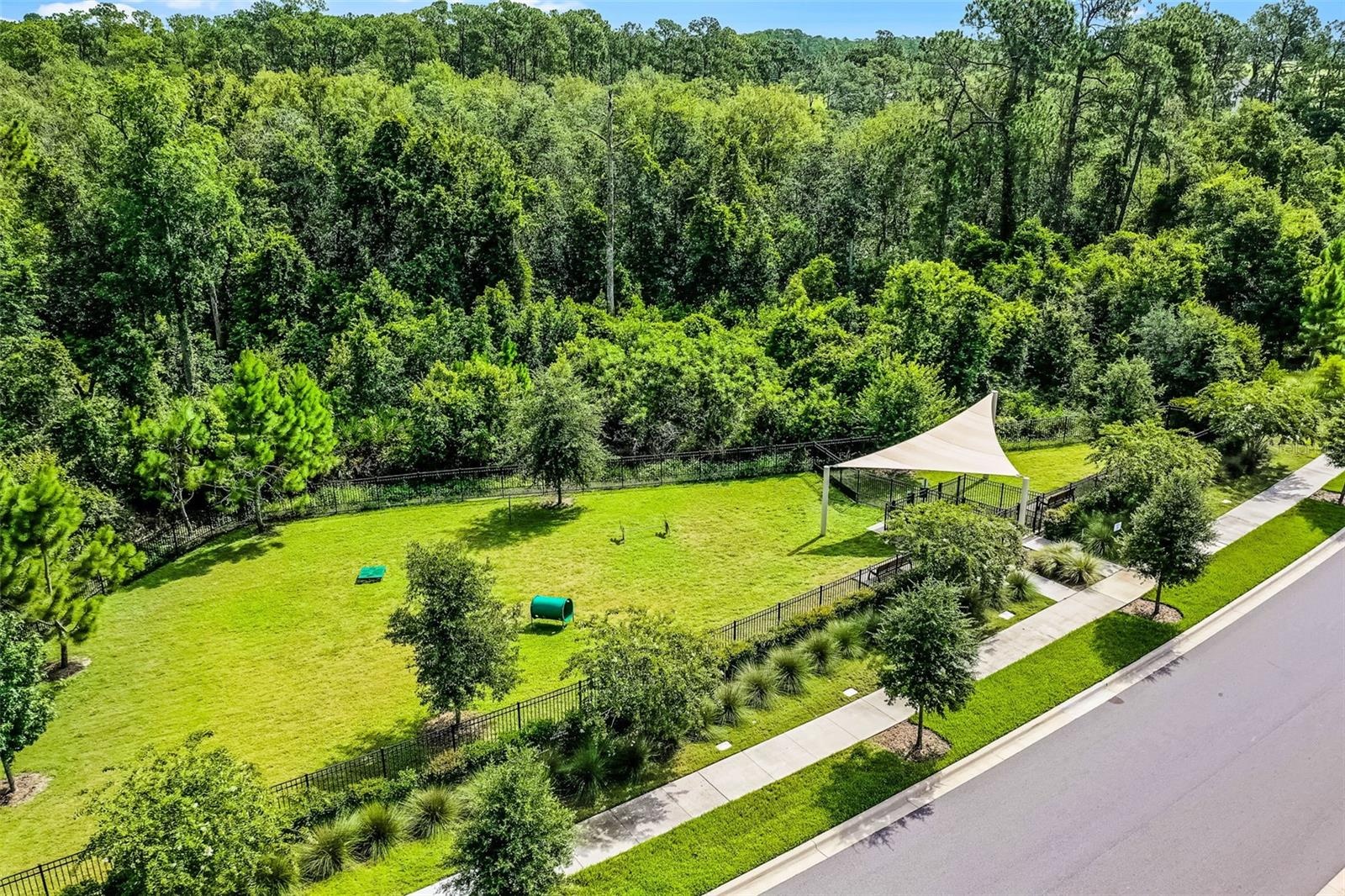 Northlake at Ovation amenities