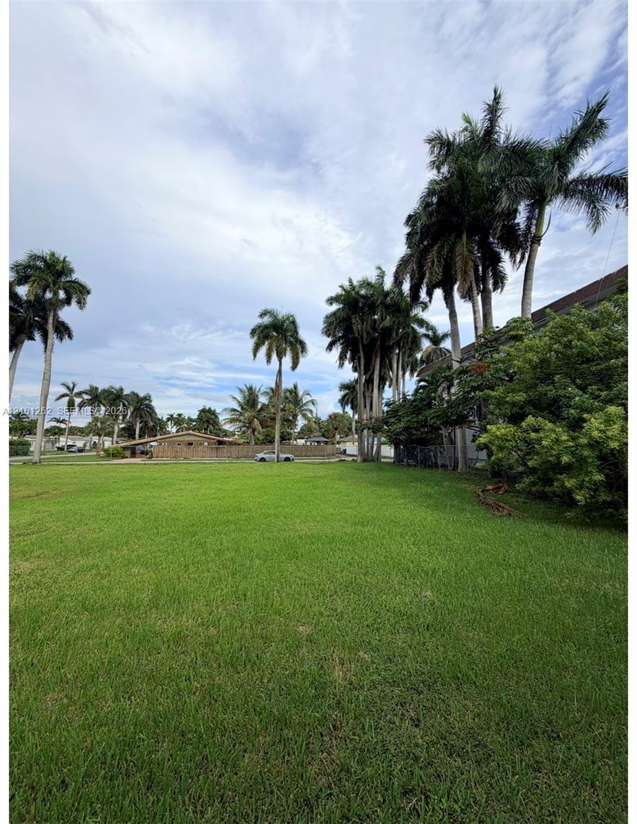 Expansive grass lawn featuring mature palm trees and established perimeter vegetation