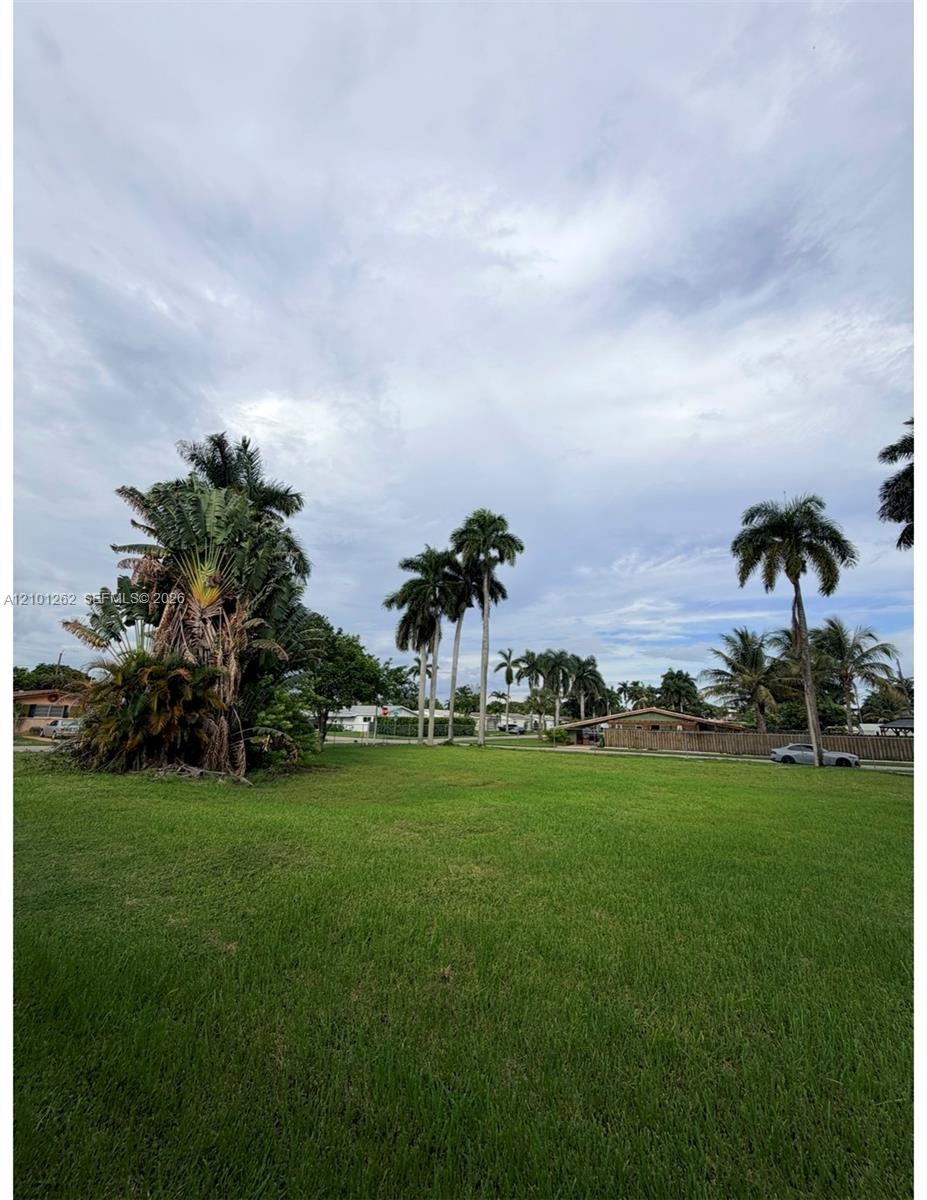 Expansive grass lot featuring mature palm trees and established tropical foliage