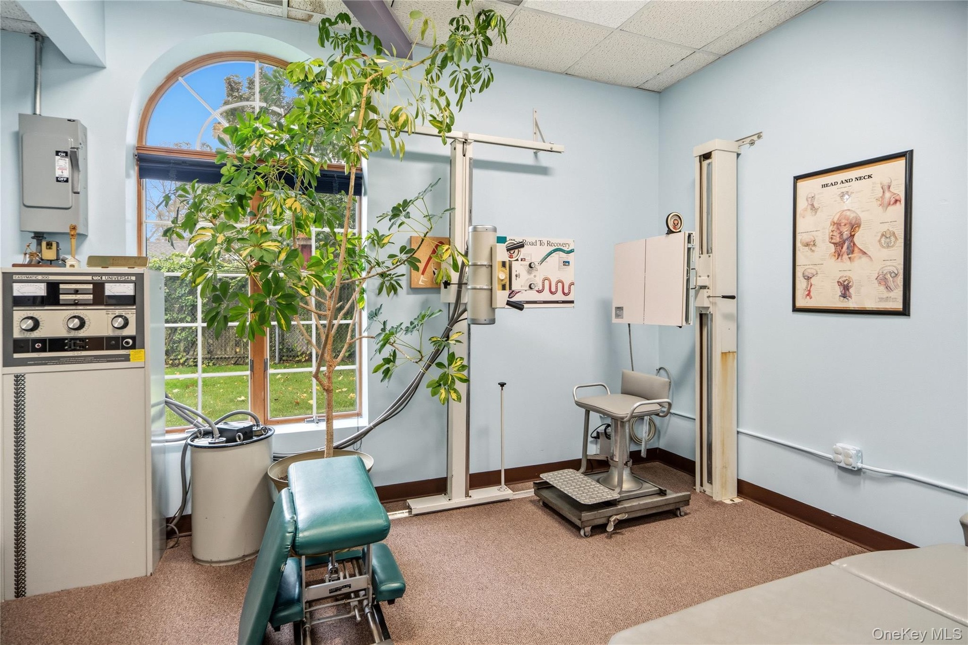 Arched window with muntin detailing and wall-to-wall carpeting