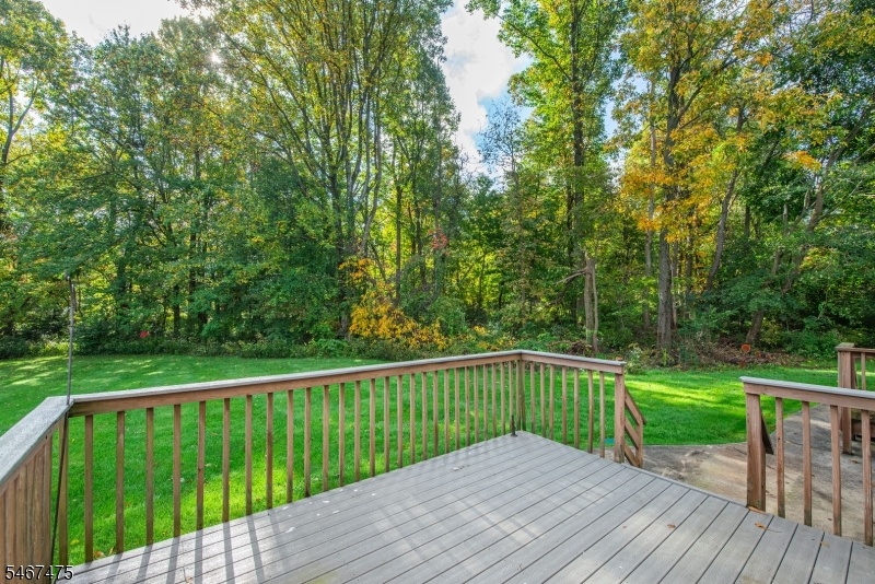 View from back deck