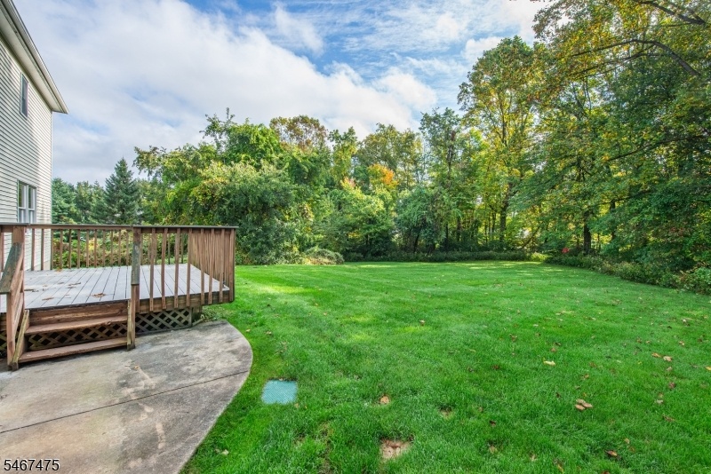 Large, Level Backyard to Enjoy