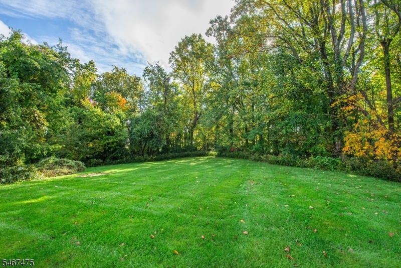 Level & Flat Backyard to Enjoy