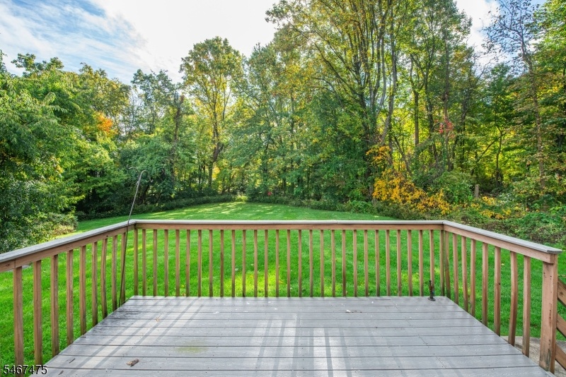 View from back deck
