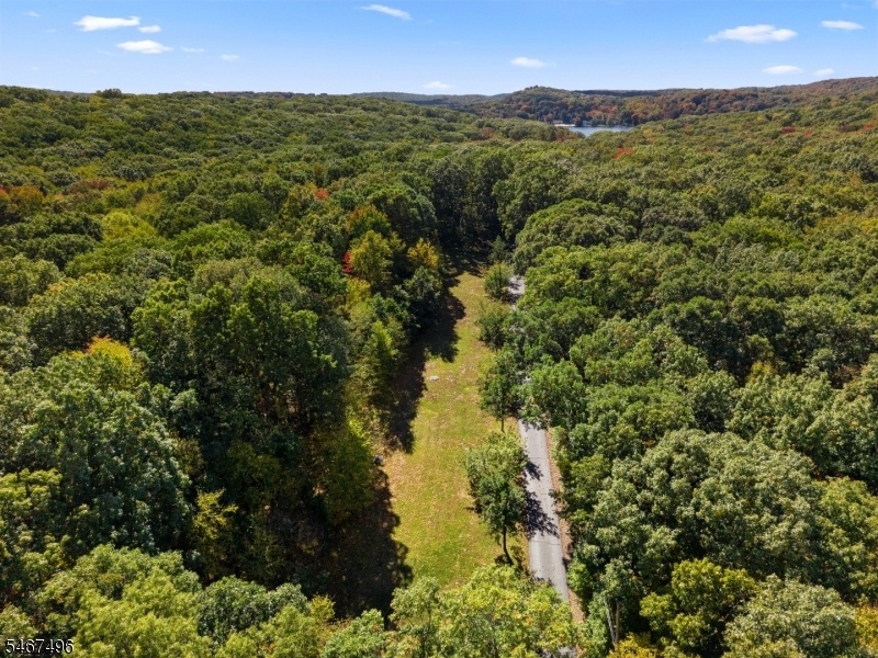 Open Field on Property