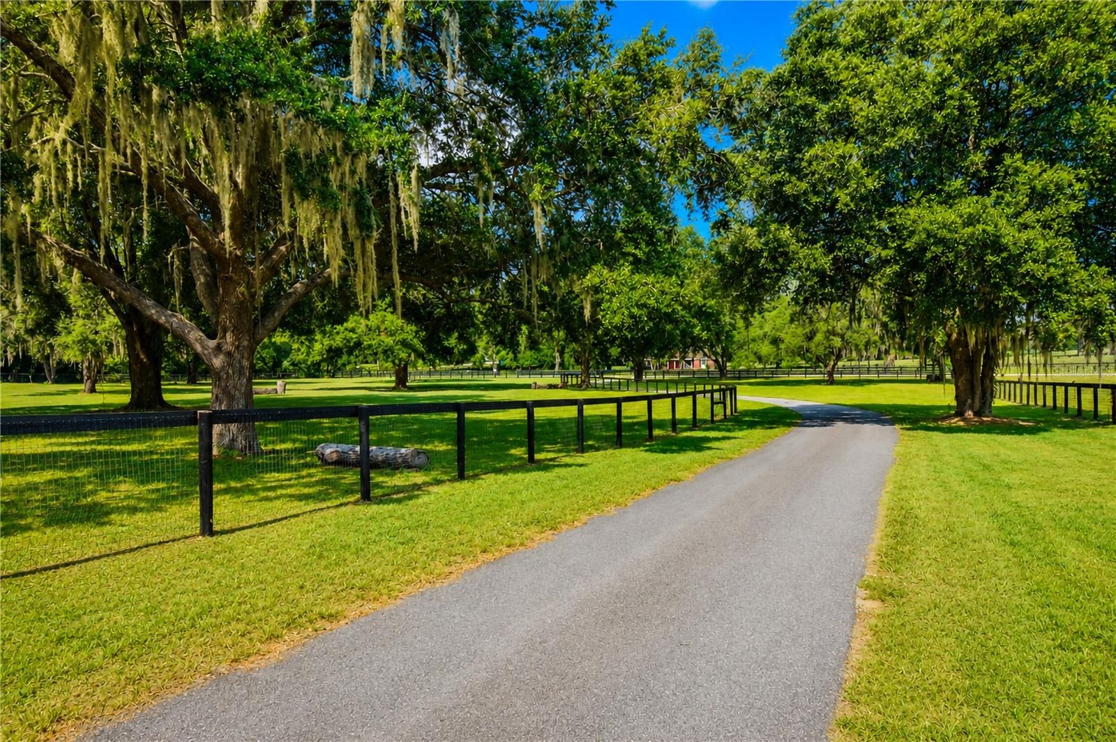 driveway