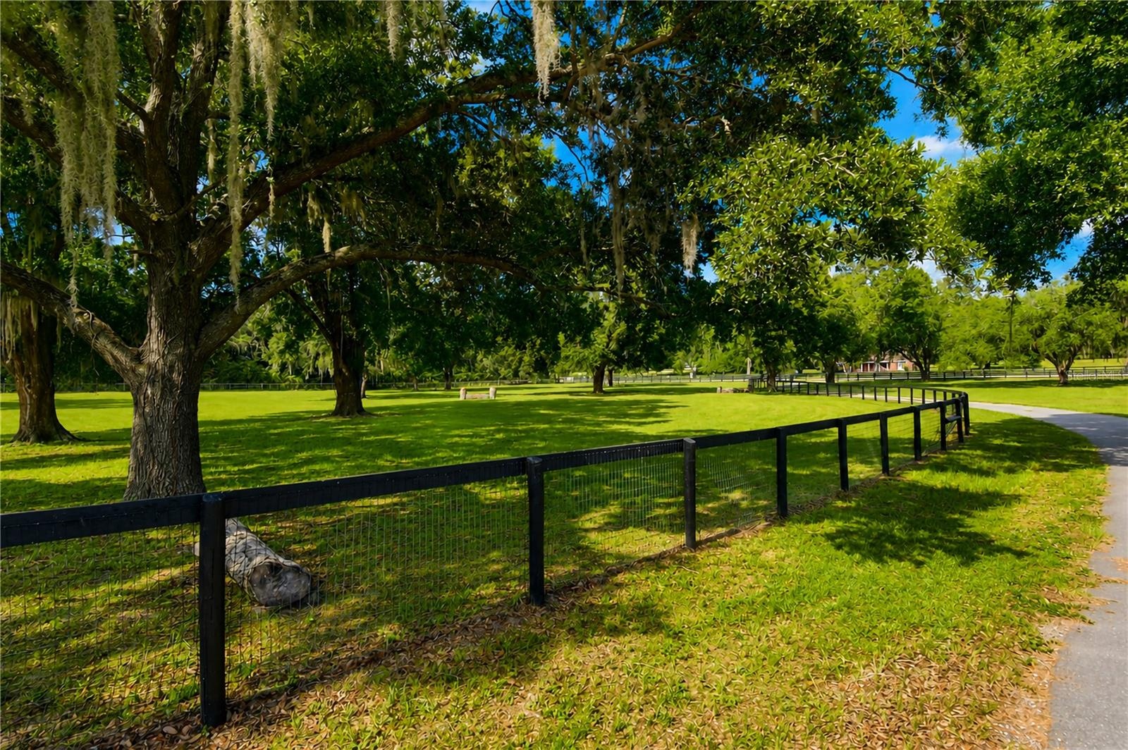 large paddock