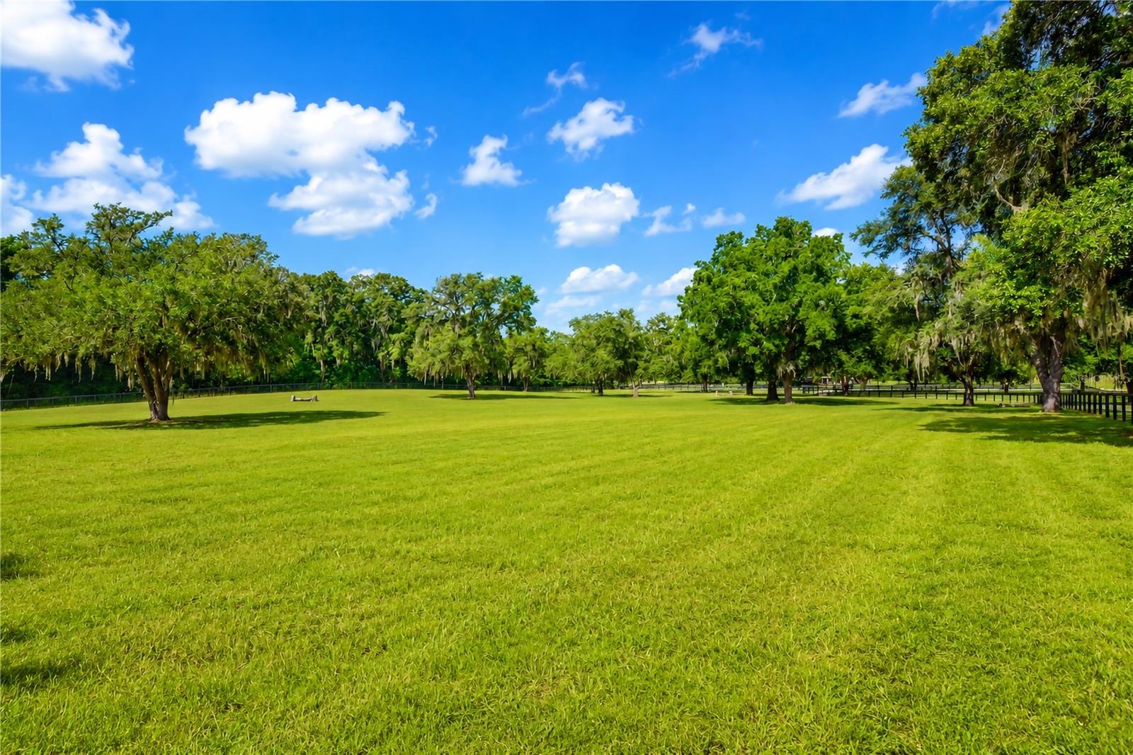large paddock