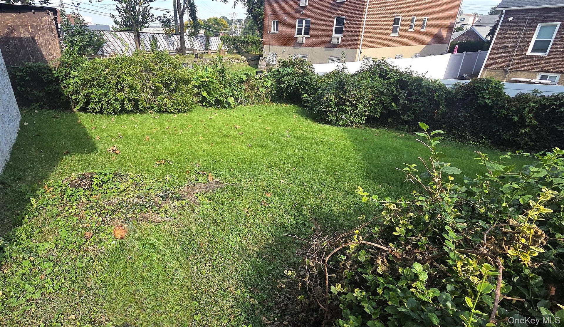 Spacious back yard