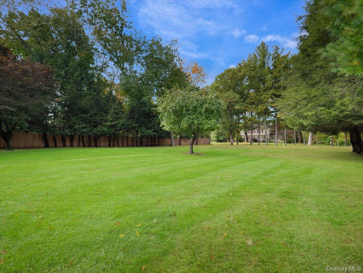 View of yard from rear