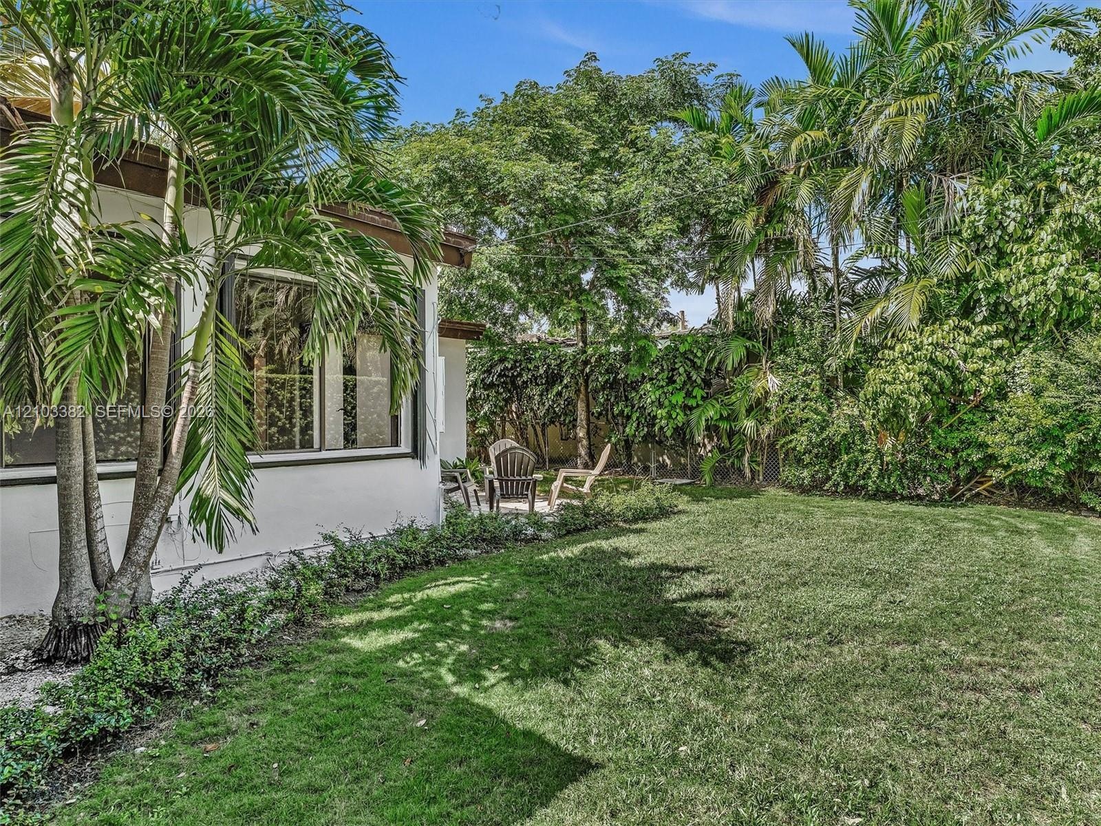 Expansive fenced backyard featuring a manicured lawn, established palm trees, mature greenery, and a concrete patio area. House for rent in Coral Gabl