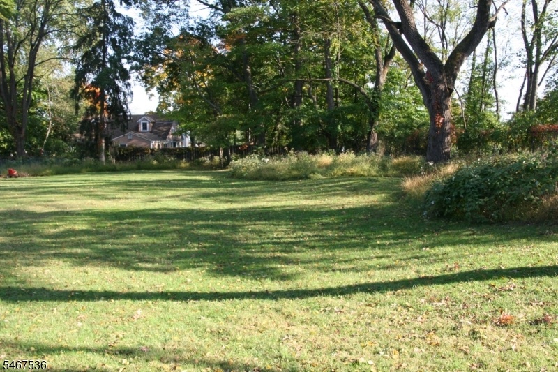 Expansive yard