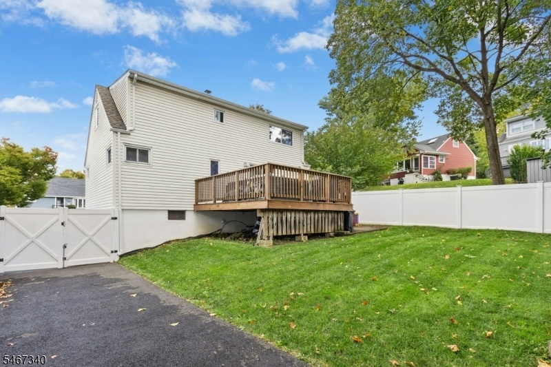 Back yard