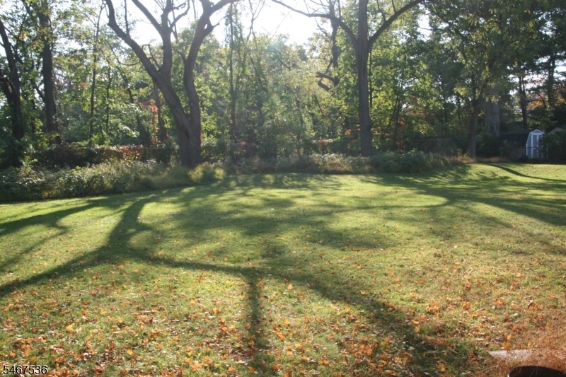 Spectacular yard!